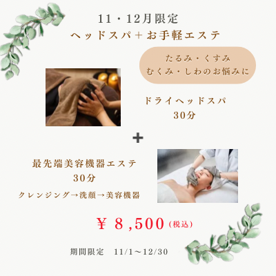 白　植物のイラスト　エステの割引の告知　プロモーションのポストカード (700 x 480 px) (400 x 400 px)のコピーのコピー.png