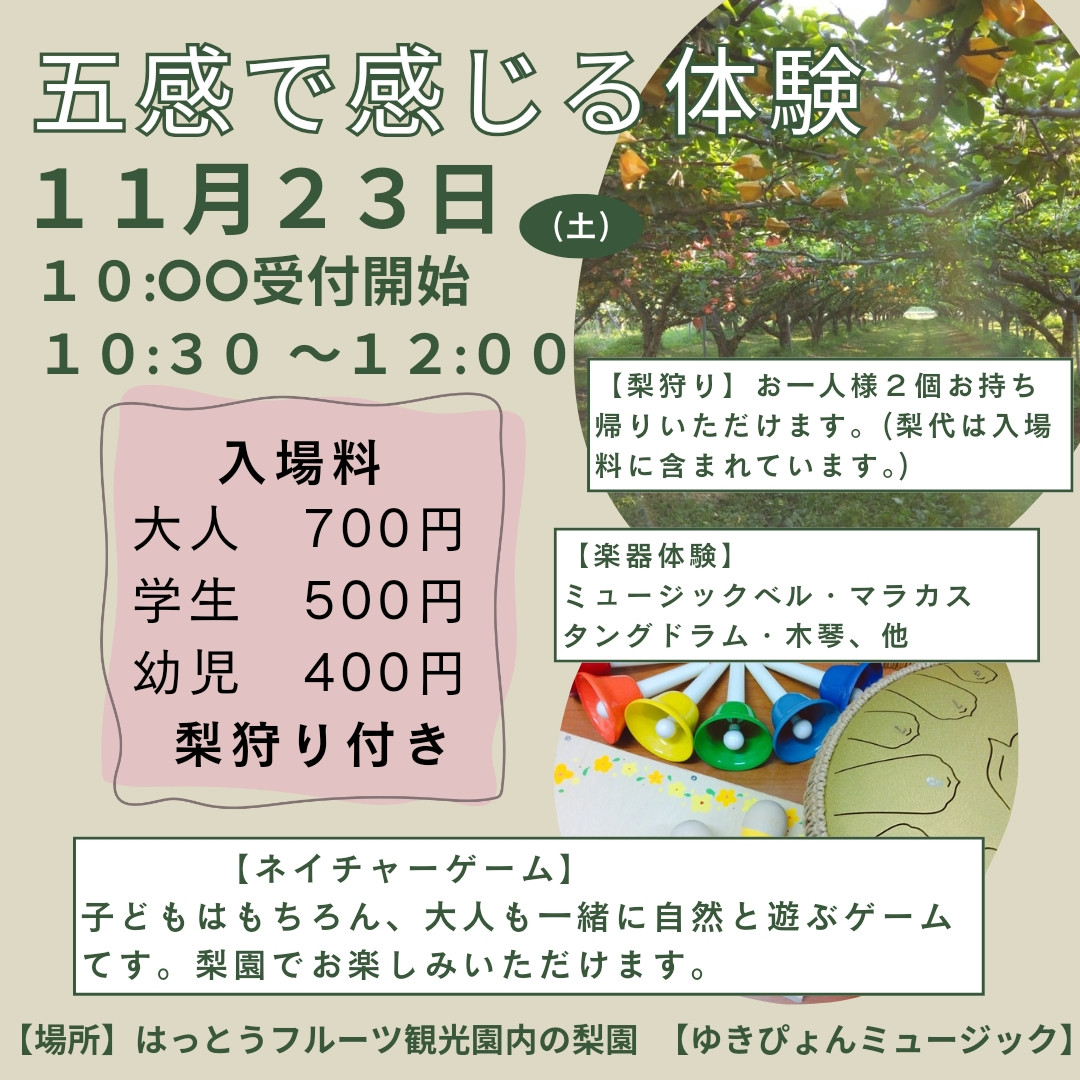 自然の中で　アート体験　１１月２３日(土)予定