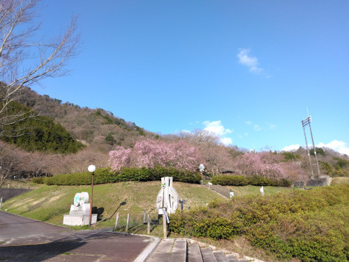 IMG_20250404_162729.jpg