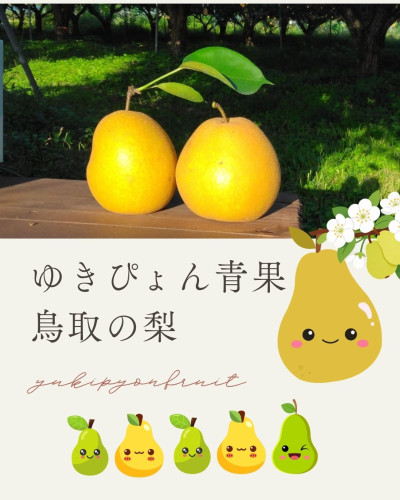 🍐【 ゆきぴょん青果 】