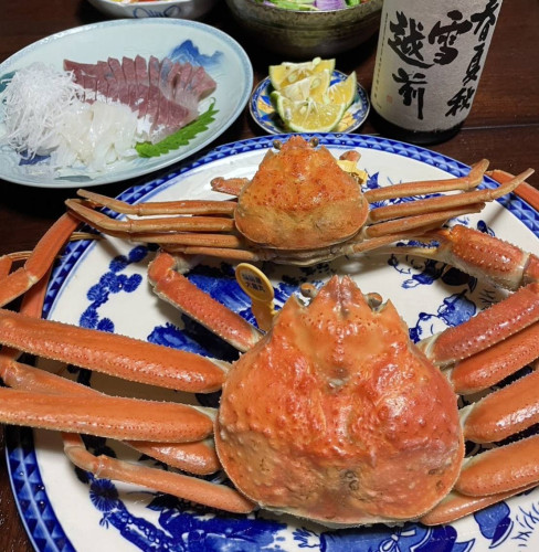 カニ2.jpg