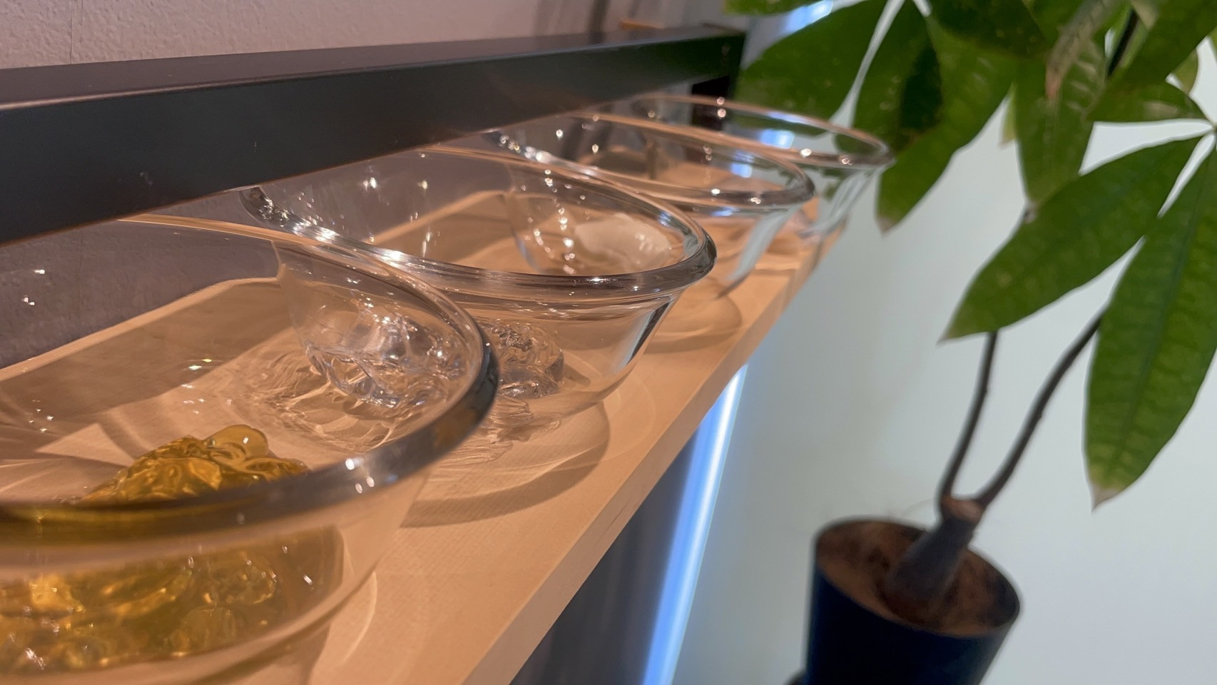 ベーシックコース