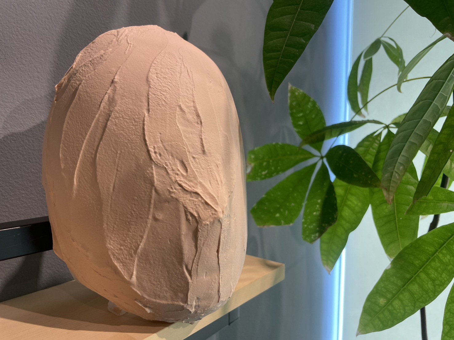 小顔石膏パックコース