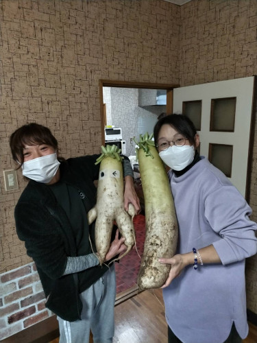 心身の状態に応じて面談、研修を実施