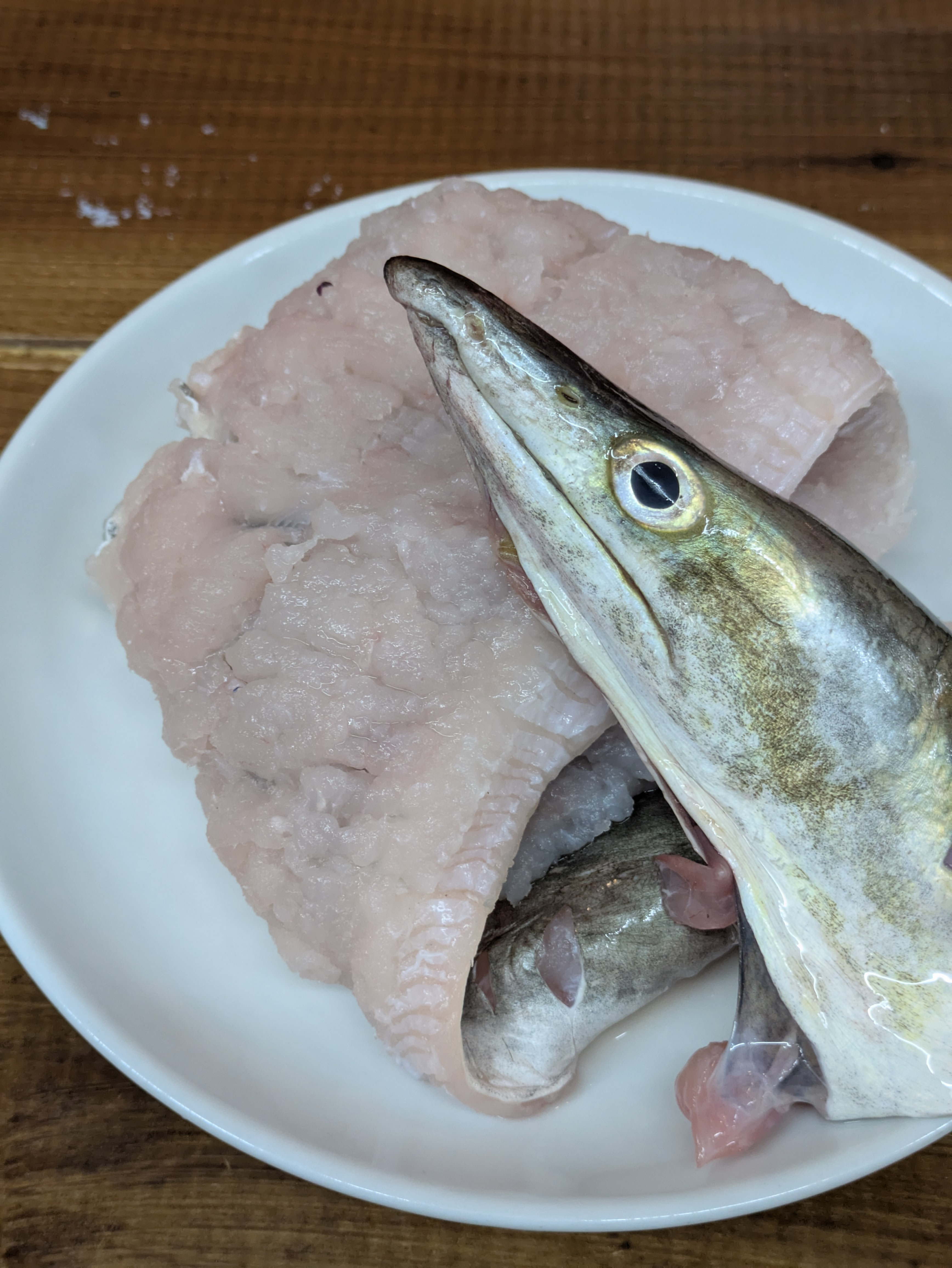 日替わりランチパスタ