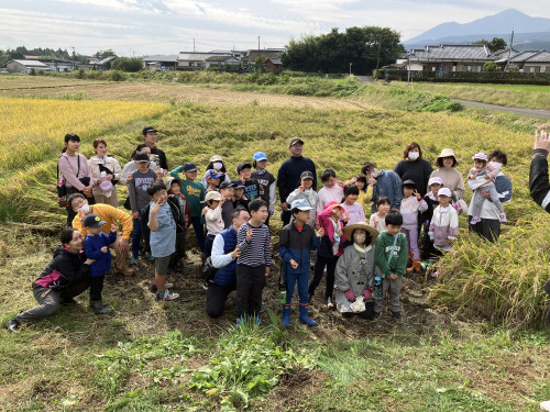 HUG 稲かり体験しました！　～楽しかったぁ～