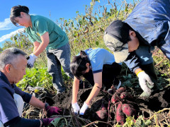 芋ほり体験！　ピーマンやなすの収穫もしました。