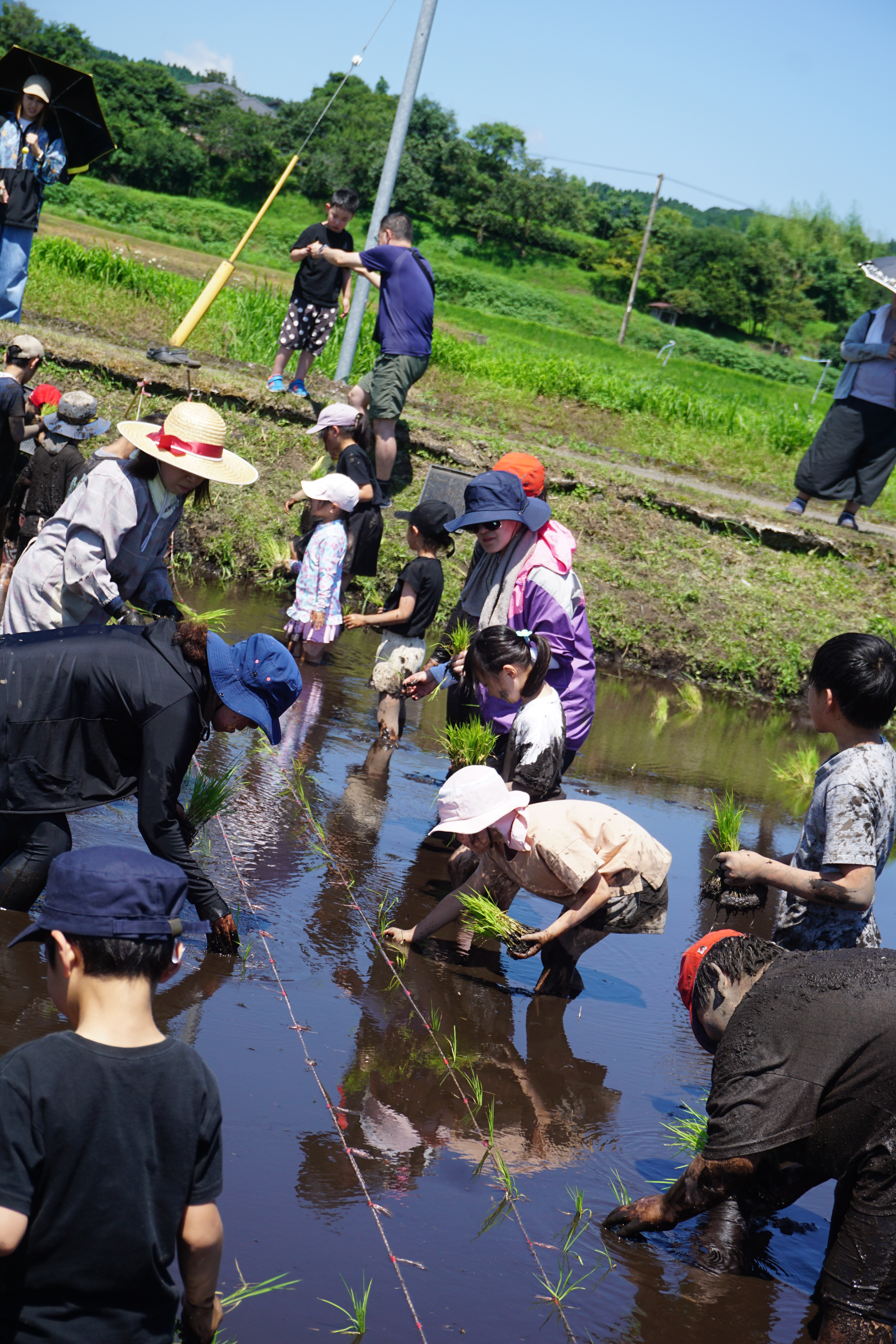 今年も田植えを実施致します！！