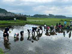 LINE_ALBUM_田植え_260622_37.jpg