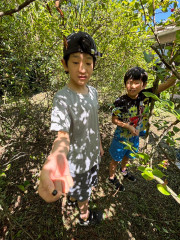 LINE_ALBUM_20260731_260731_37.jpg