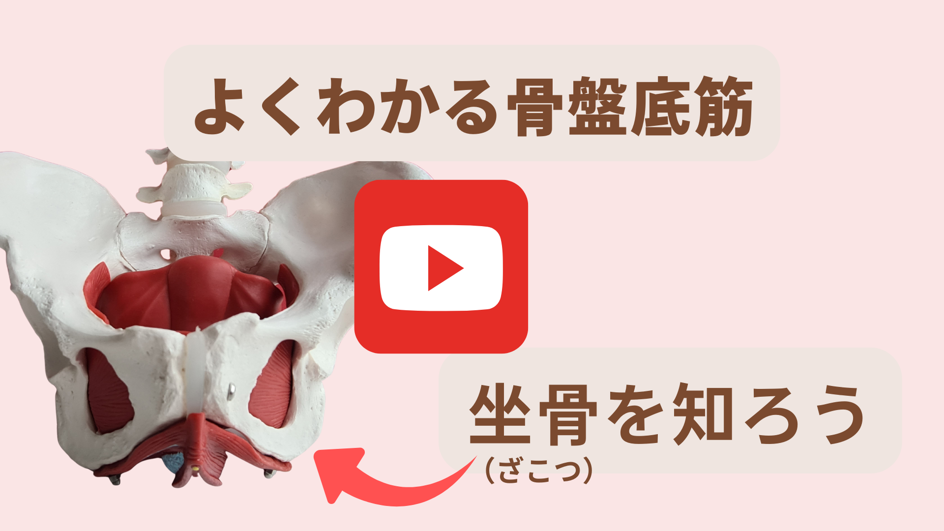 動画原本のコピー (3).png