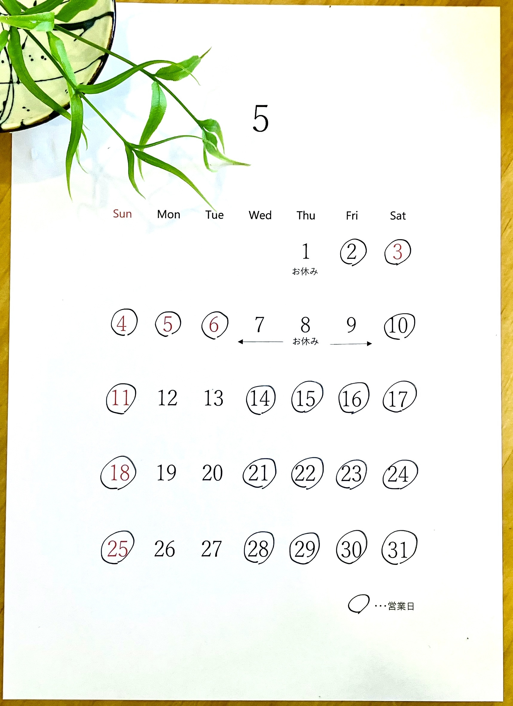 5月の営業日🌿