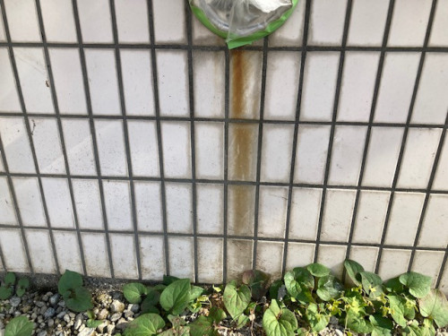 Ⅸ薬品洗浄 (9).jpg