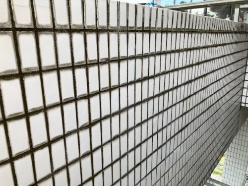 Ⅸ薬品洗浄 (11).jpg