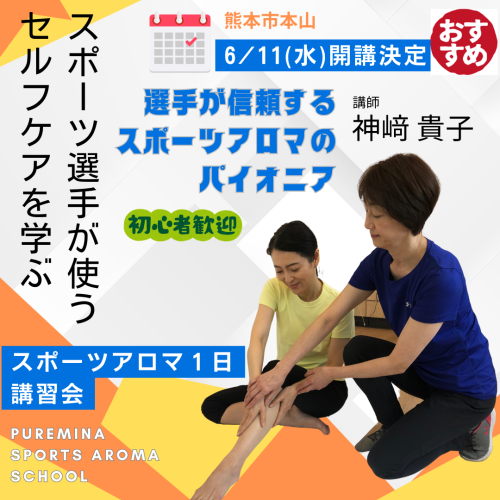kumamoto_1day.png