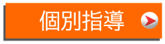web_botton_kobetsu.png