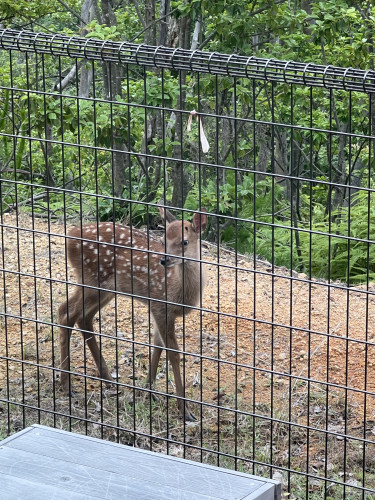 IMG_0869.jpeg