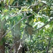 image0(1).jpeg