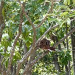 image1.jpeg