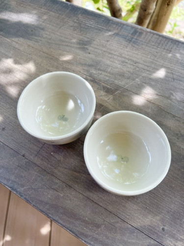 image5.jpeg