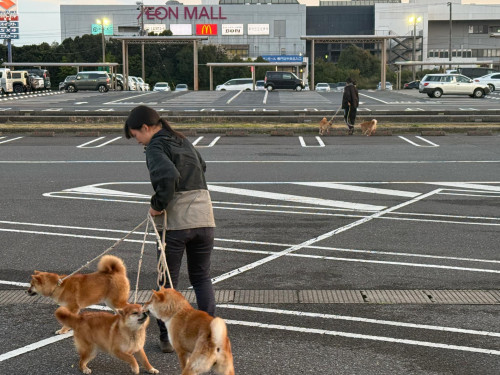 c365f301-1bd7-48a7-a87d-7cc303897c17.jpg