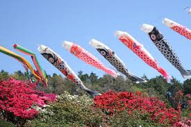 column_5_koinobori.jpg