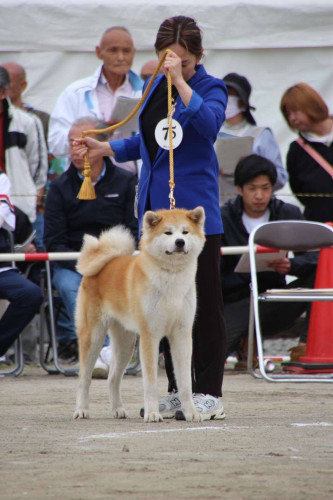 5ad17615-edd9-4a53-b4d0-e6f8dc7d7260.jpg