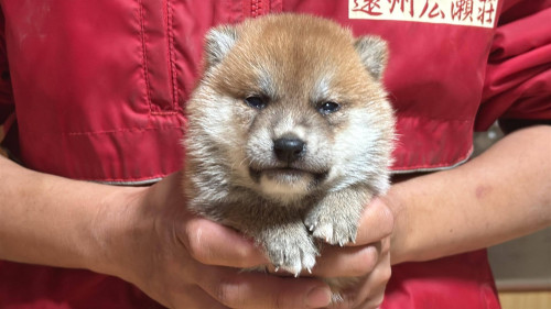 ダウンロード (1).jpg