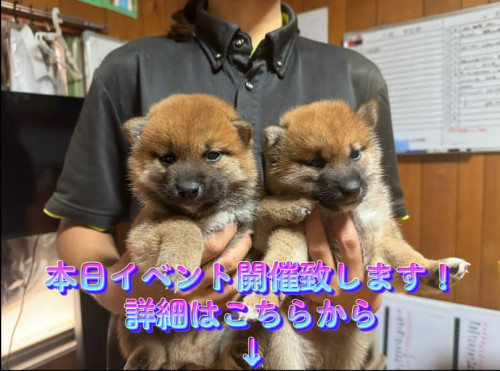ダウンロード (20).jpg