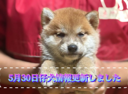 ダウンロード.jpg