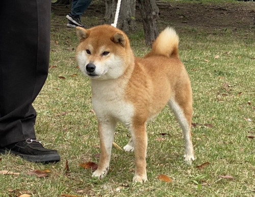 492269753_9510409095704996_7614096988110405233_n.jpg