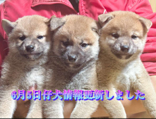 ダウンロード (2).jpg