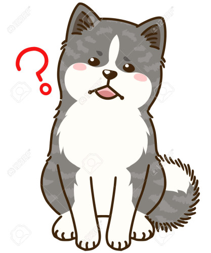 176325631-akita-inu-that-don-t-understand-tiger-stripes.jpg