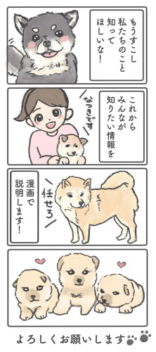 ダウンロード (1).jpg