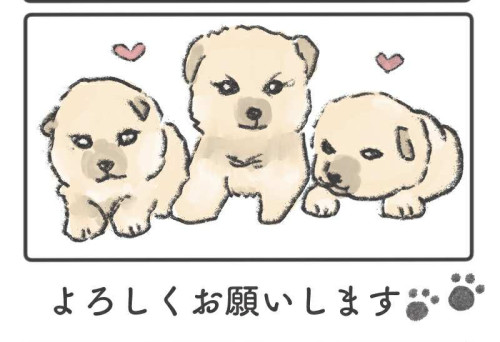 4cc03ae2-a0ca-4edf-a2ff-79ef609ba202.jpg