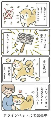 b312f93e-388c-4df0-ba85-ad681441b700.jpg