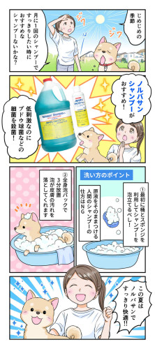 71ee5b52-b9d6-48b4-9b92-794760256046.jpg