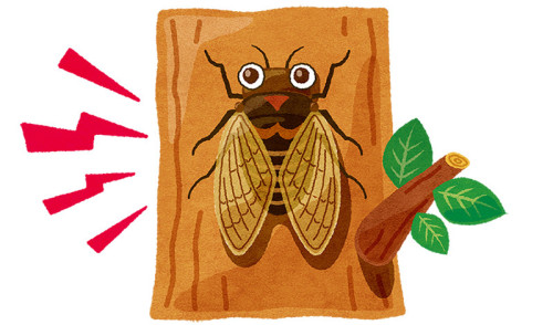 cicada_001_thumb.jpg
