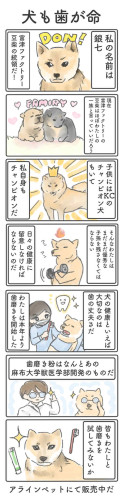 ダウンロード.jpg