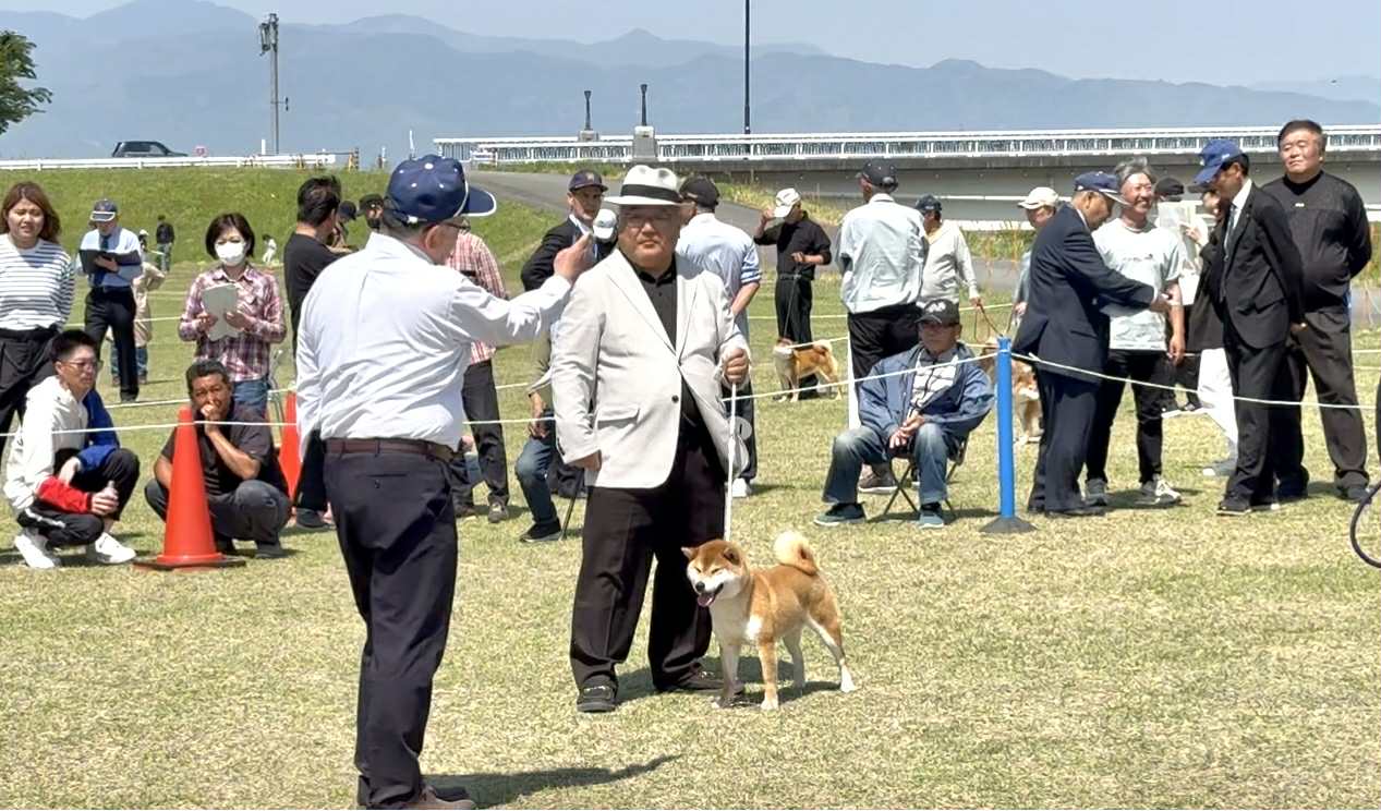 茨城展