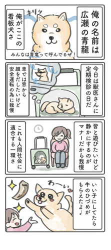 f04a7a9b-dfc2-47a1-b1c5-5feb68031b9a.jpg