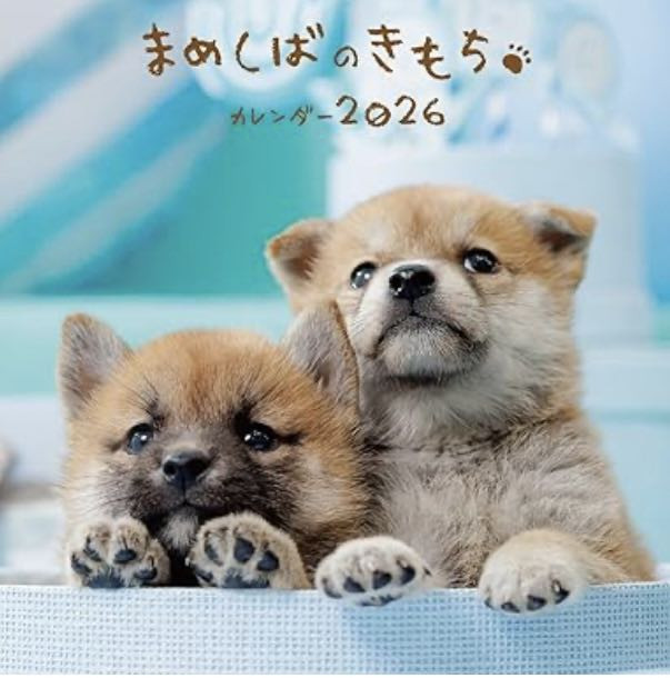 2026年FF仔犬モデル関連文具絶賛発売中♪