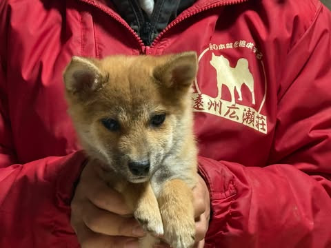 598149460_2004983083384685_8864675286448810192_n (1).jpg