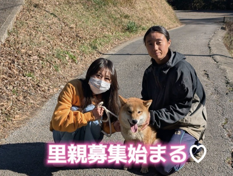 里親募集始まる