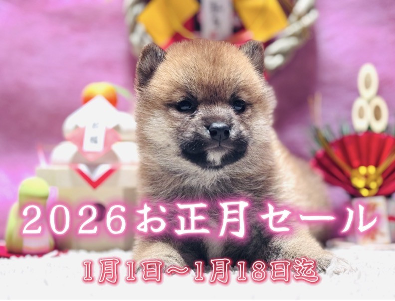 1月1日～18日迄です!