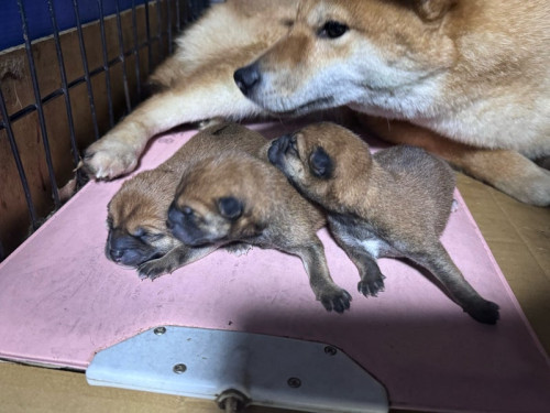 o1080081015743960680 (1).jpg