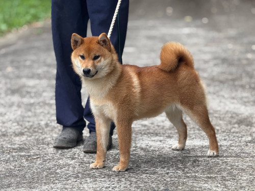 260124103221-69742125c132e_l (1).jpg