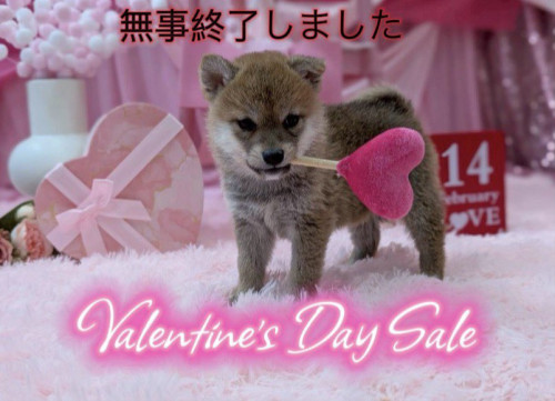 630177196_1975418786345716_5233361754148811092_n (1).jpg