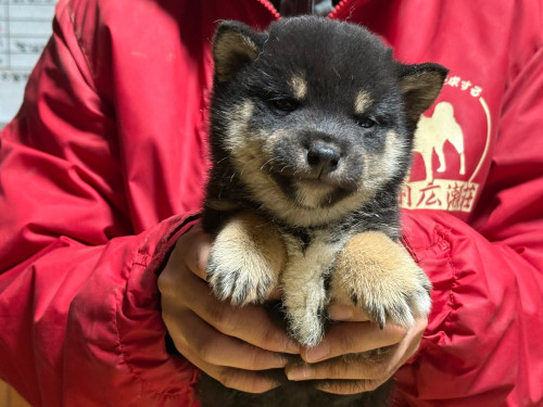 649855235_1461828458936059_3959116907037584619_n (1).jpg