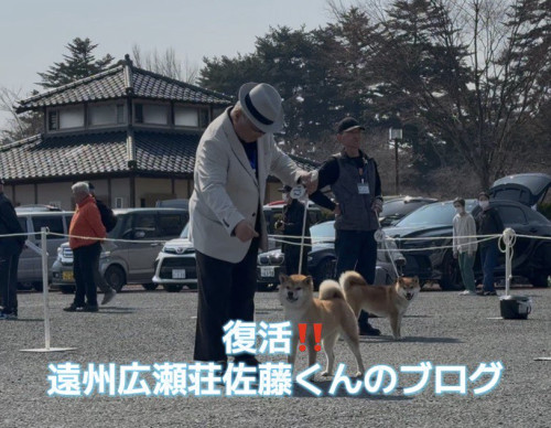 655267462_1619412925999166_8582396985412264727_n (1).jpg